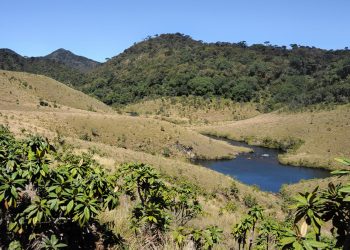 Horton Plains