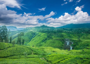 Nuwaraeliya